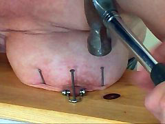 Tits nailed to board